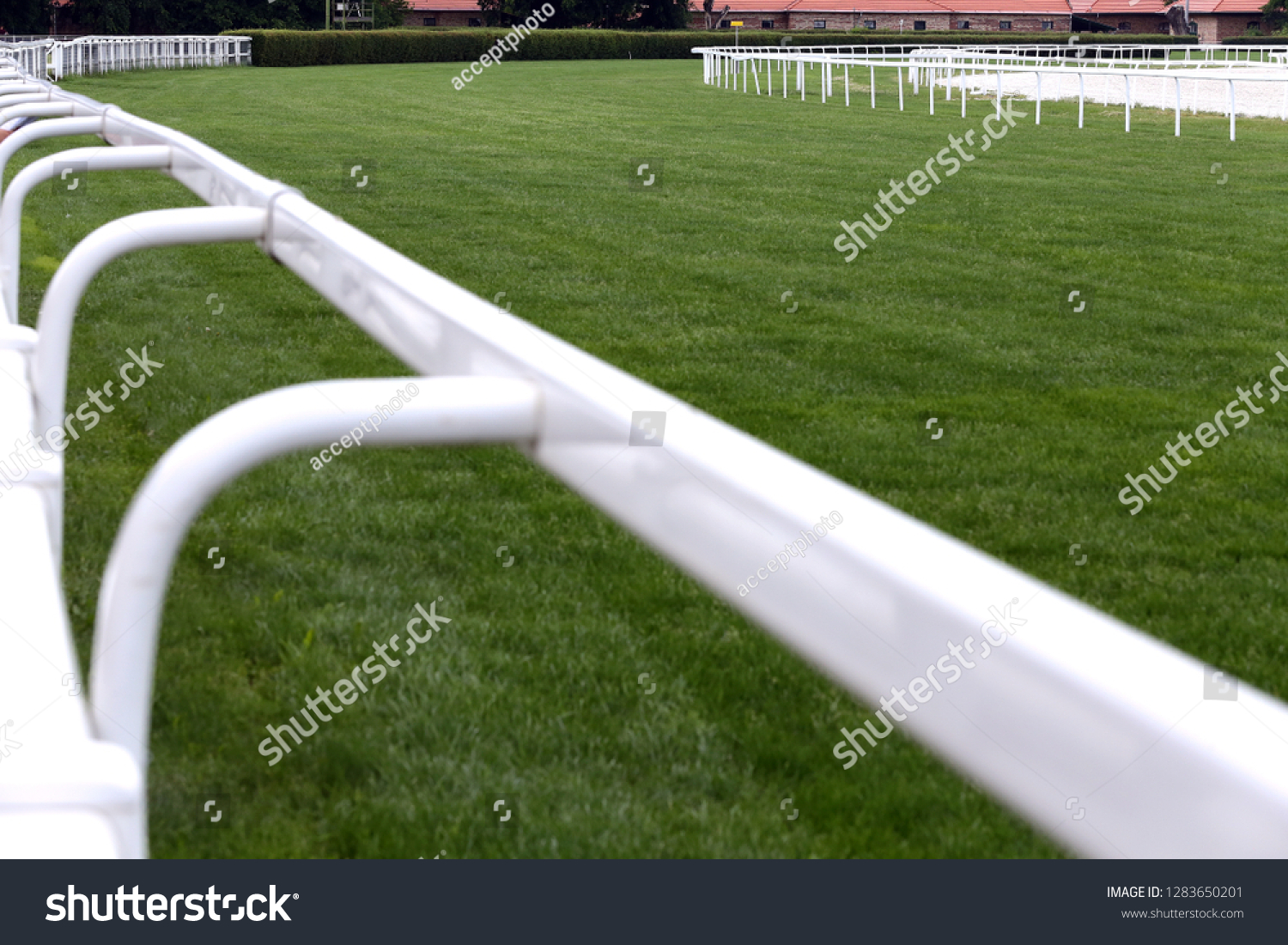 Treated green grass ready for gallop racing on the racing weekend
 #1283650201