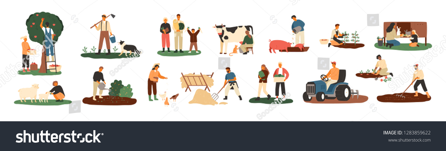 Set of farmers or agricultural workers planting crops, gathering harvest, collecting apples, feeding farm animals, carrying fruits, milking cow, working on tractor. Flat cartoon vector illustration. #1283859622