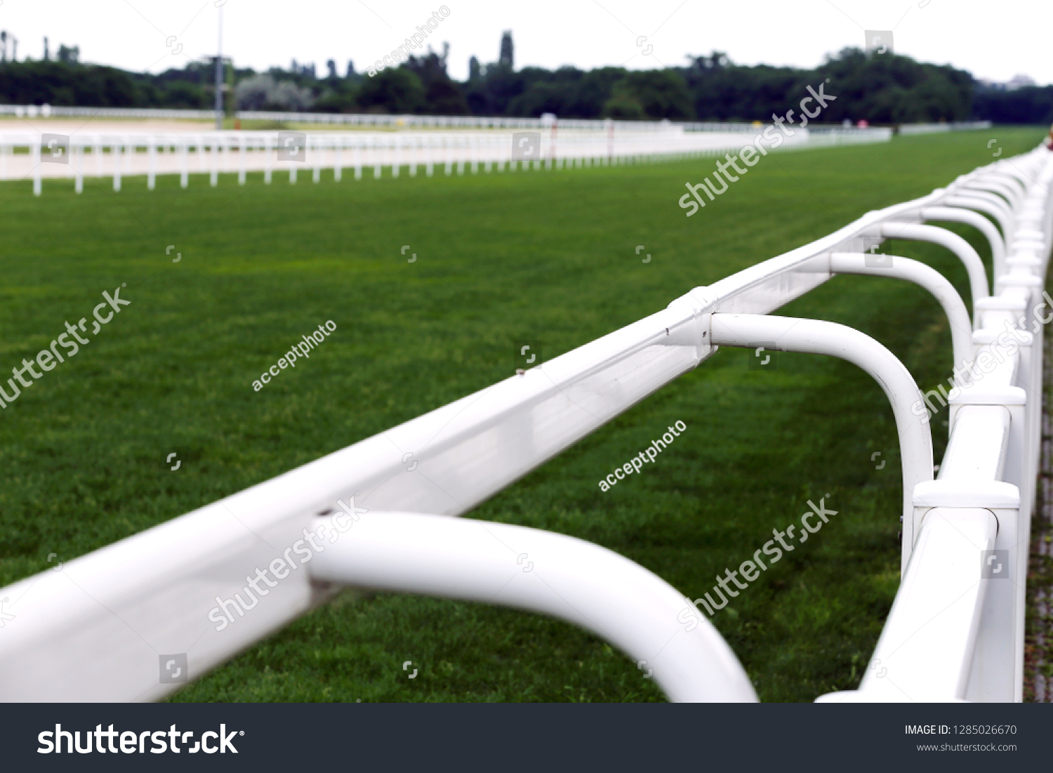 Treated green grass ready for gallop racing on the racing weekend
 #1285026670