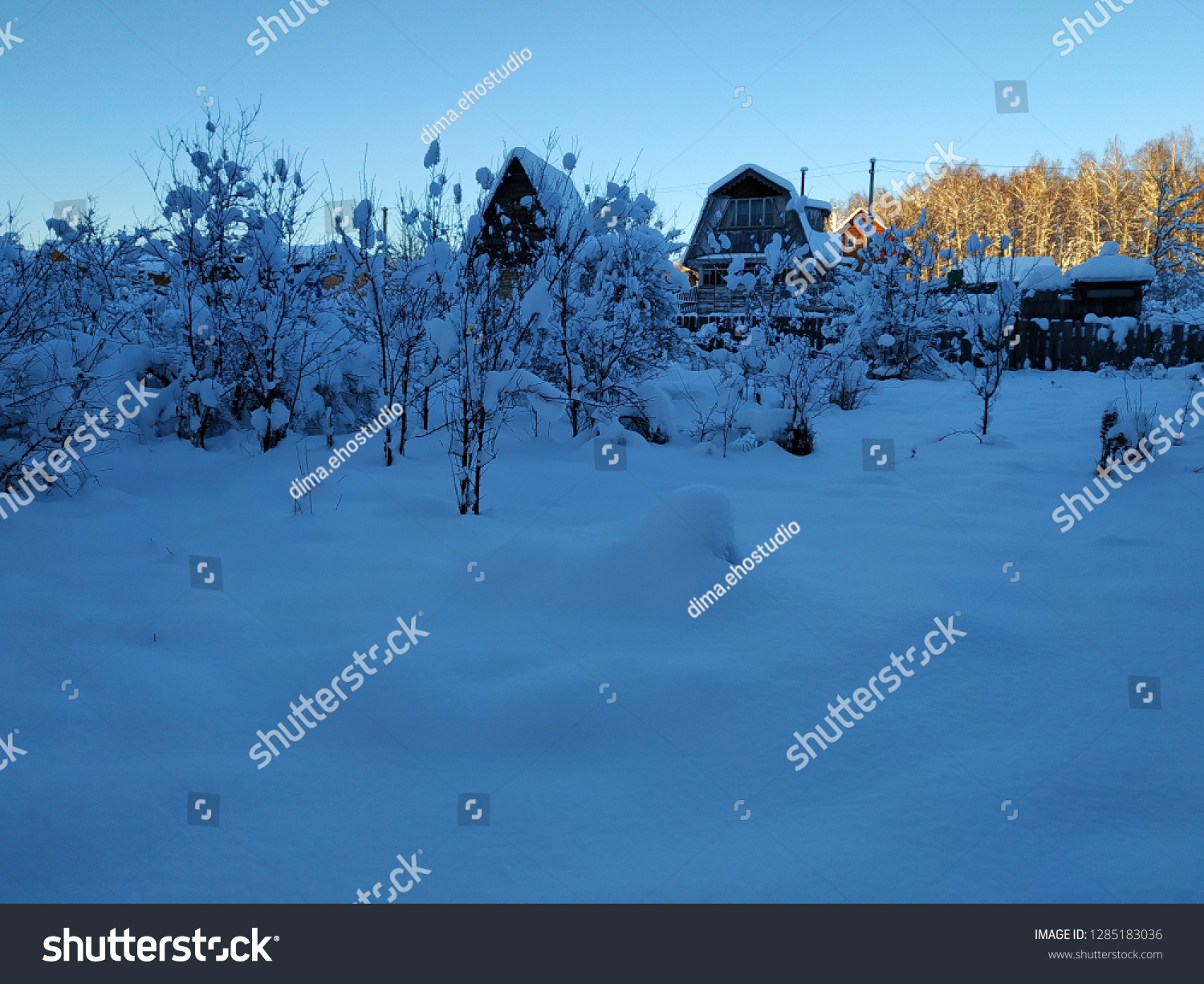 sunny winter landscape #1285183036