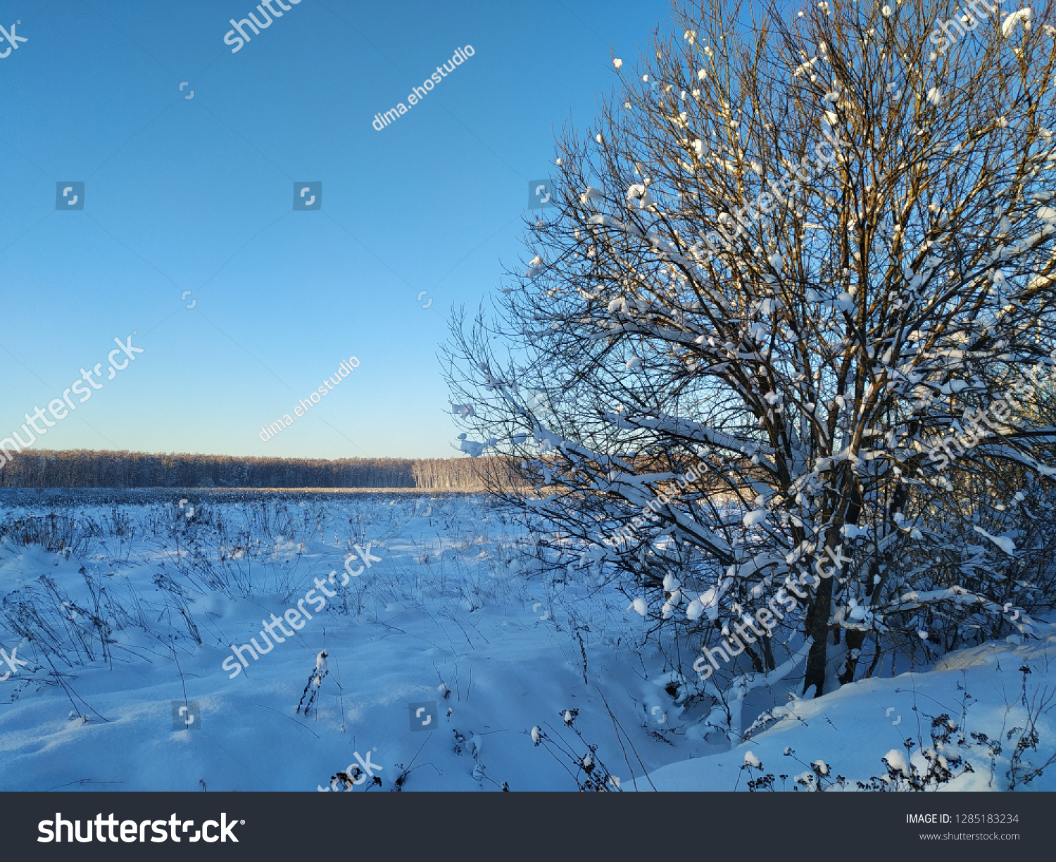 sunny winter landscape #1285183234