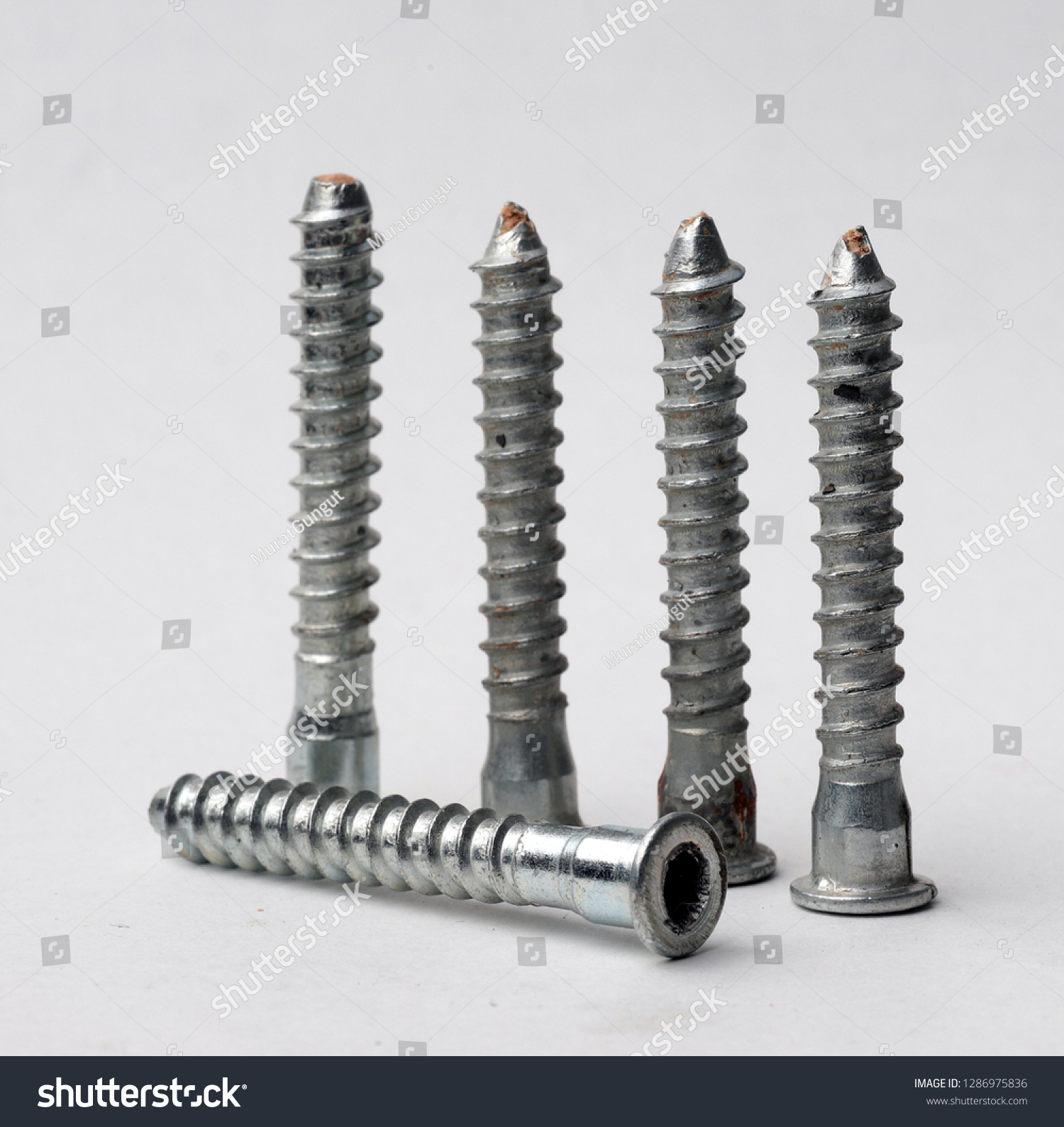 Stainless steel screws for fastening to workpieces in construction #1286975836