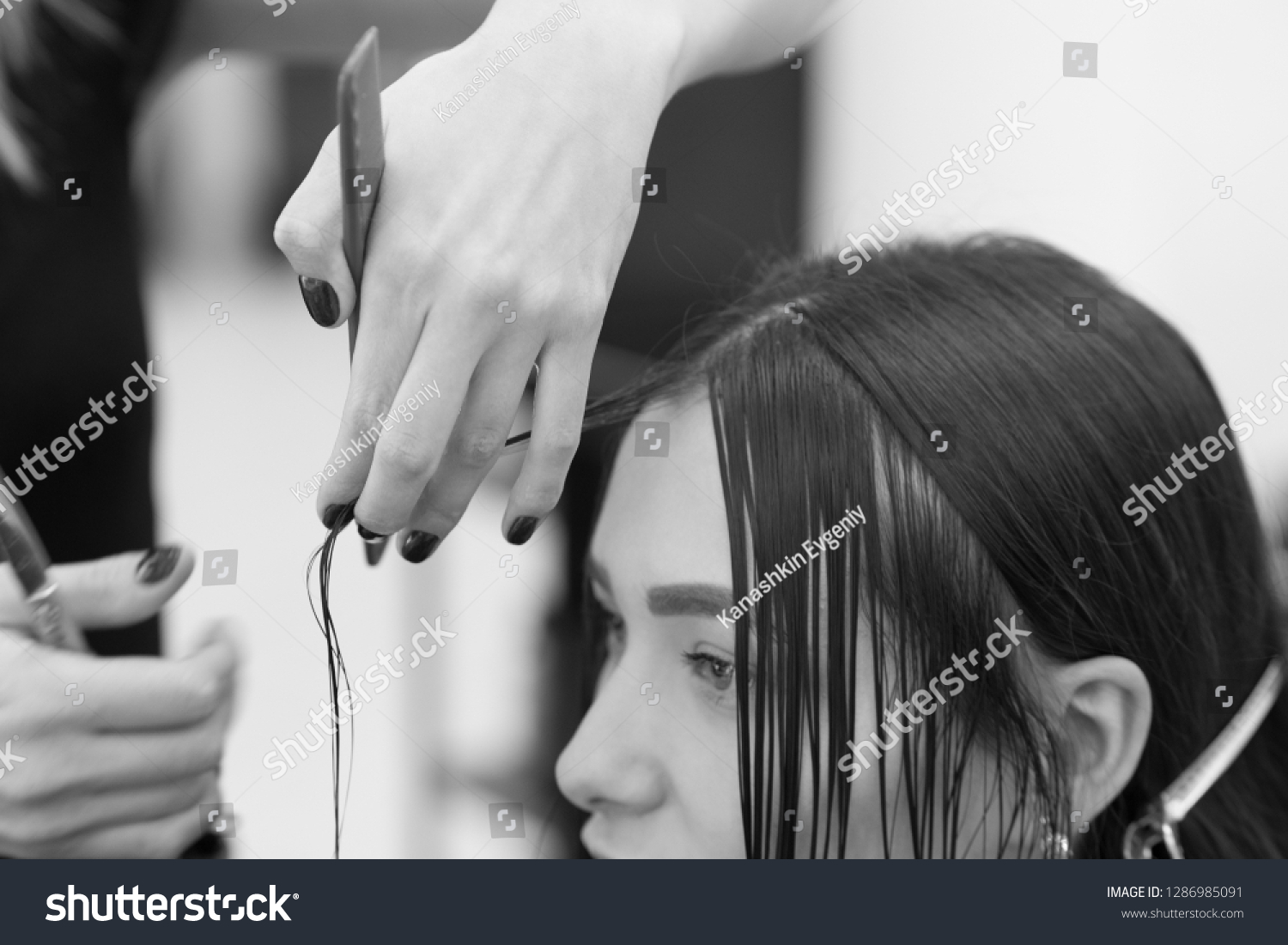 The hairdresser does a haircut of hair to a woman, a brunette in a beauty salon. #1286985091