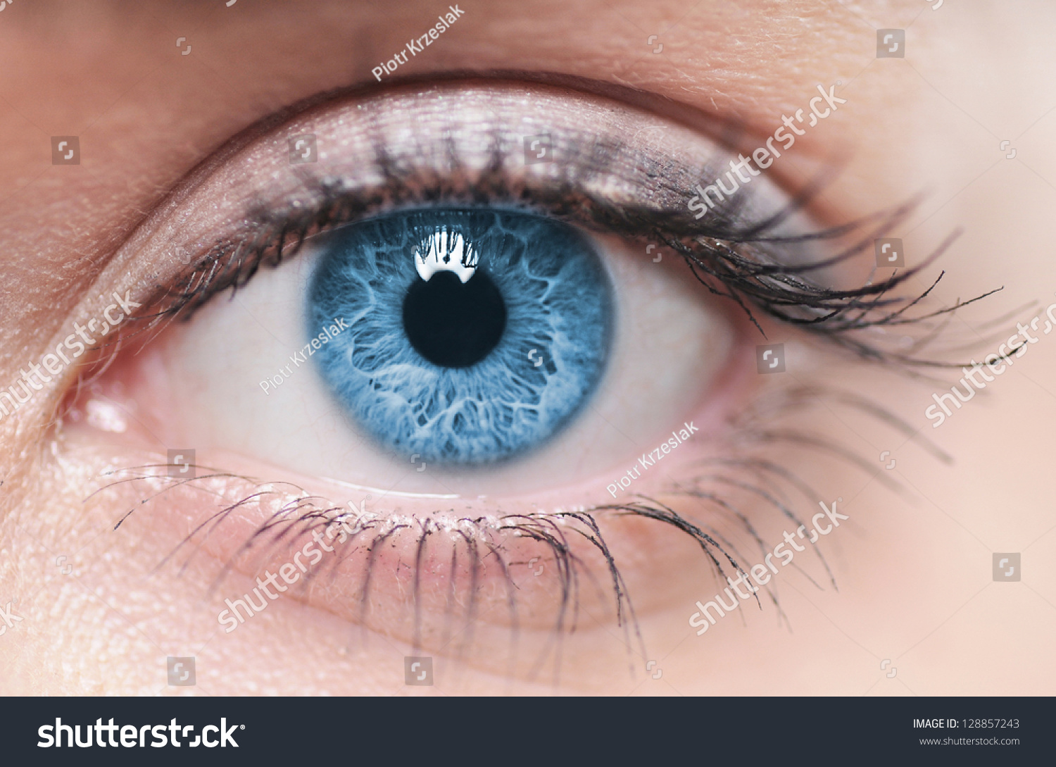 Macro image of human eye #128857243
