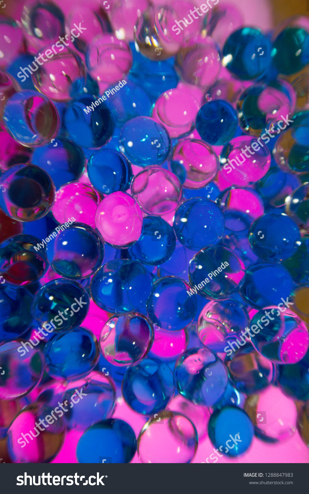 Blue and Pinks Circles #1288847983