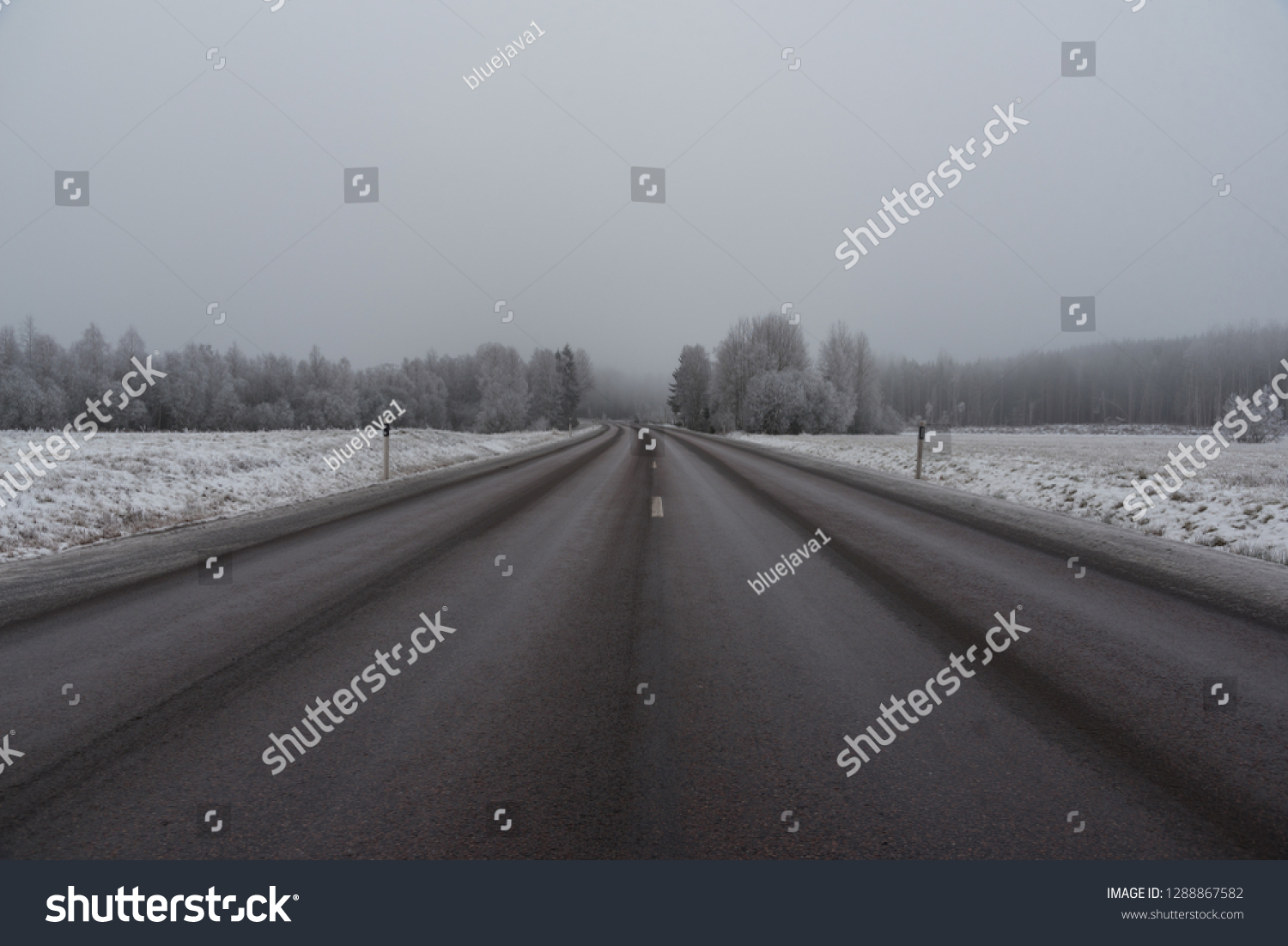 winter road with poor visibility in Sweden #1288867582