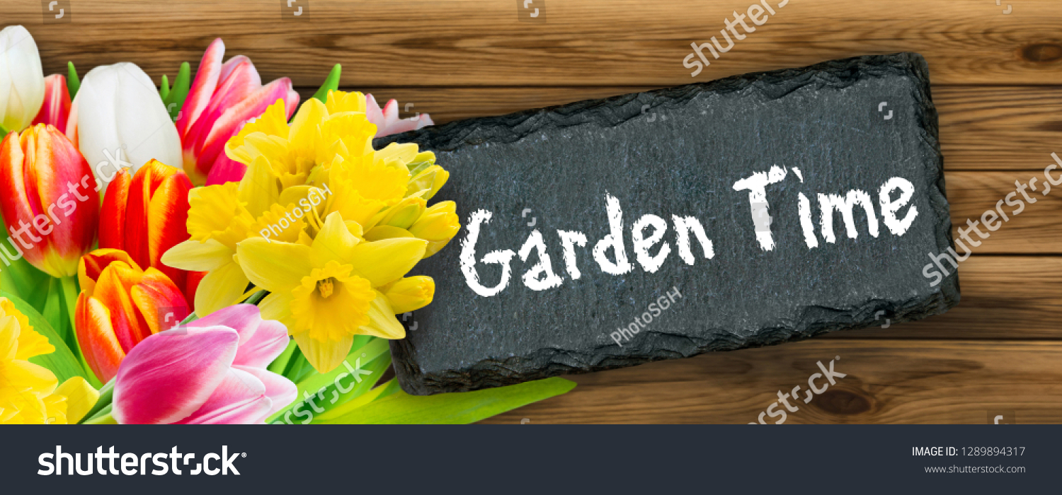 Tulips and Label Garden Time #1289894317