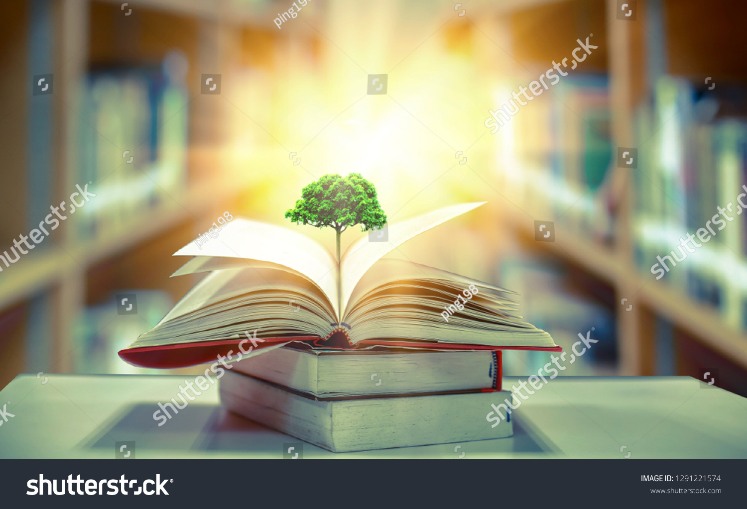 education concept with tree of knowledge planting on opening old big book in library with textbook, stack piles of text archive and aisle of bookshelves in school study class room  #1291221574