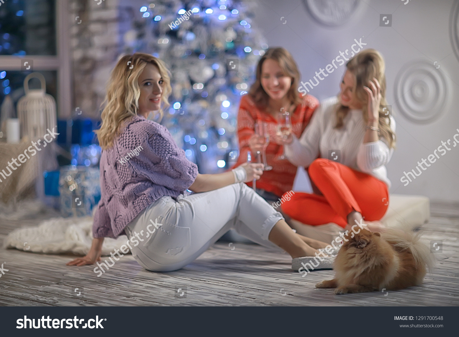 Christmas girlfriend girlfriend / girls drink champagne on New Year's holiday, women on holiday #1291700548