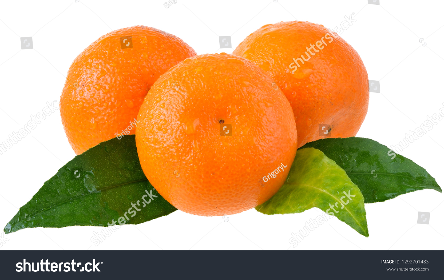 tangerine with leaf isolated on white background #1292701483