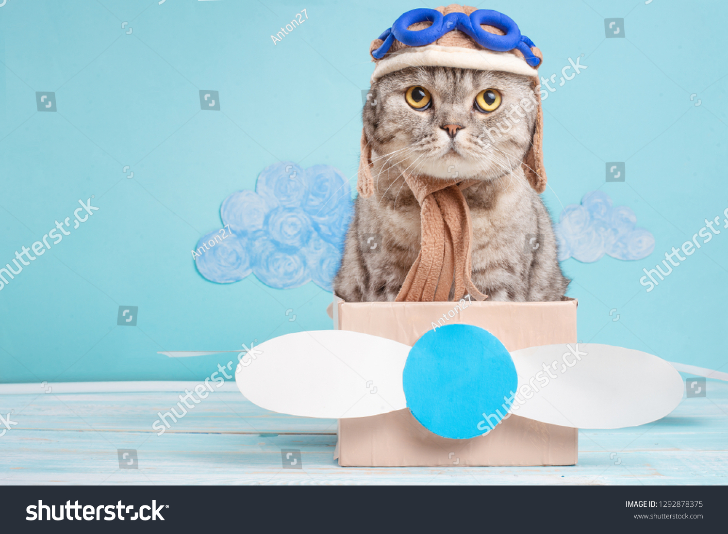 Very funny cat pilot of an airplane with glasses and a pilot's hat sitting on a plane, against the background of clouds. Concept of funny and funny animals #1292878375