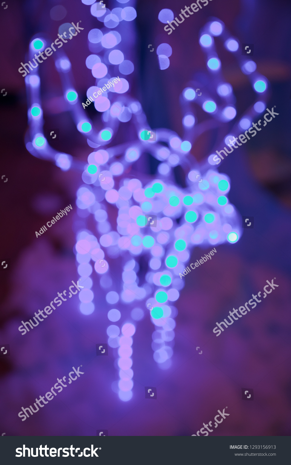 Abstract pairs of lover deer of blur silver and blue light bokeh. For decoration on the park to celebration on Christmas and Valentine day theme background. Blue defocused lights. Winter background. #1293156913