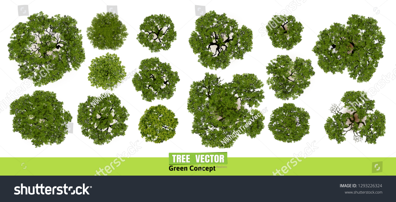 Trees top view for landscape vector illustration. #1293226324