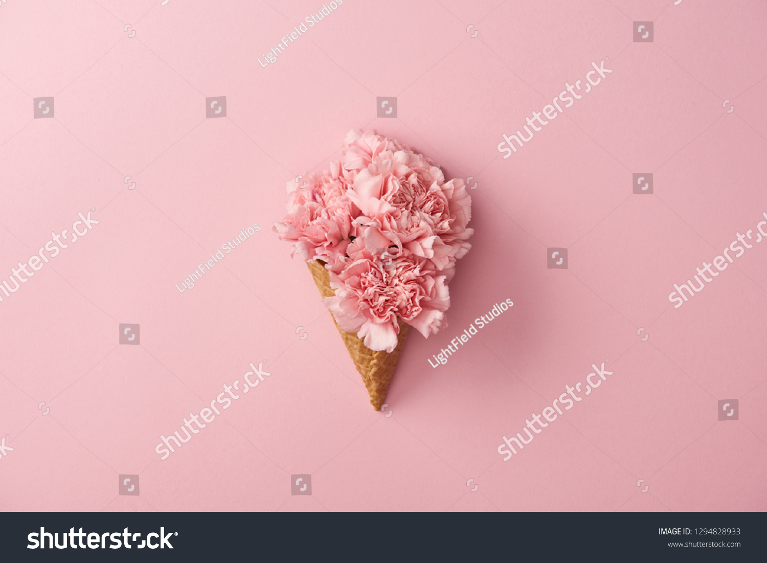 beautiful pink carnation flowers in waffle cone isolated on pink  #1294828933