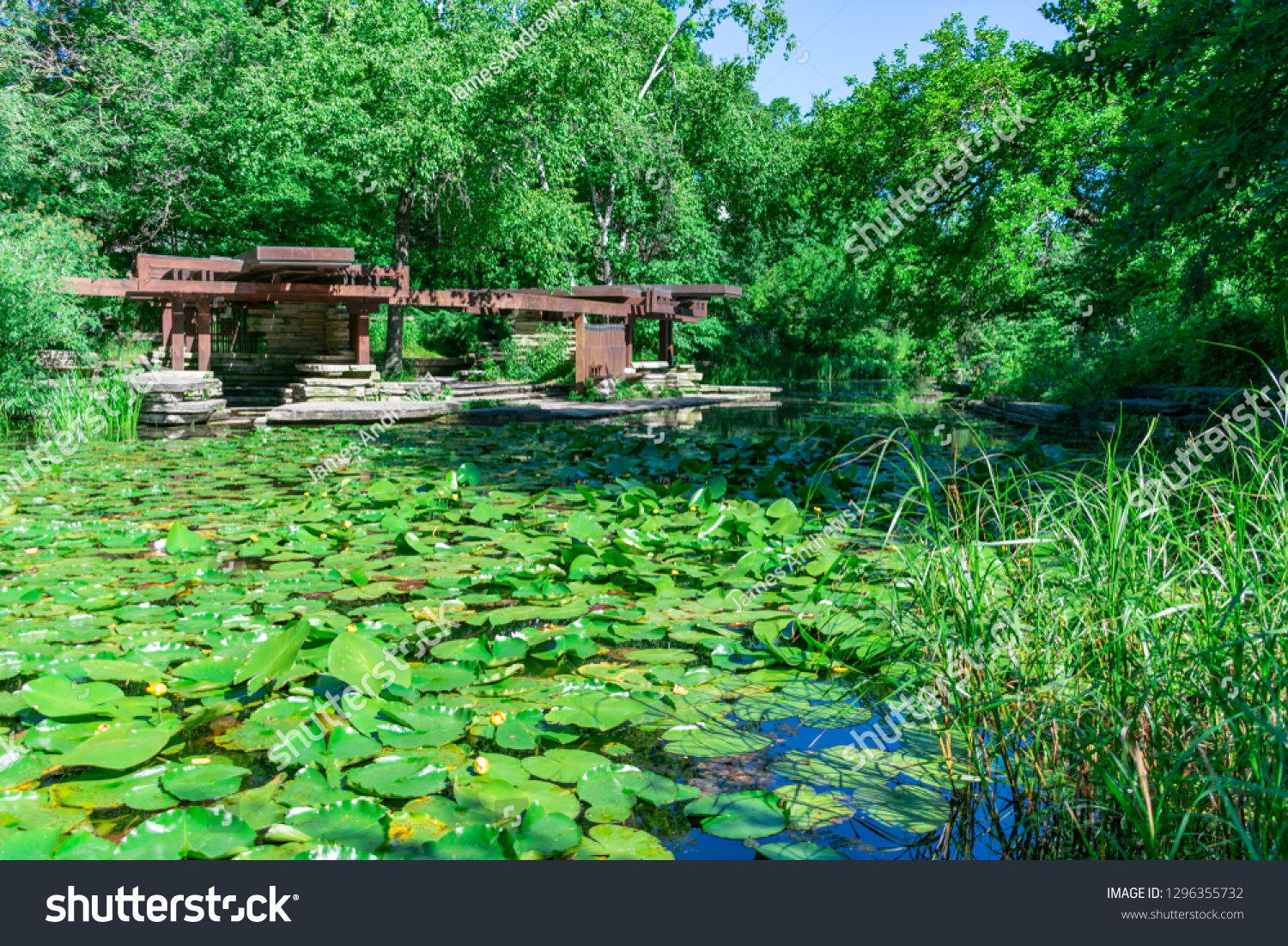 Alfred Caldwell Lily Pool in Lincoln Park Chicago surrounded by Grass and Trees #1296355732