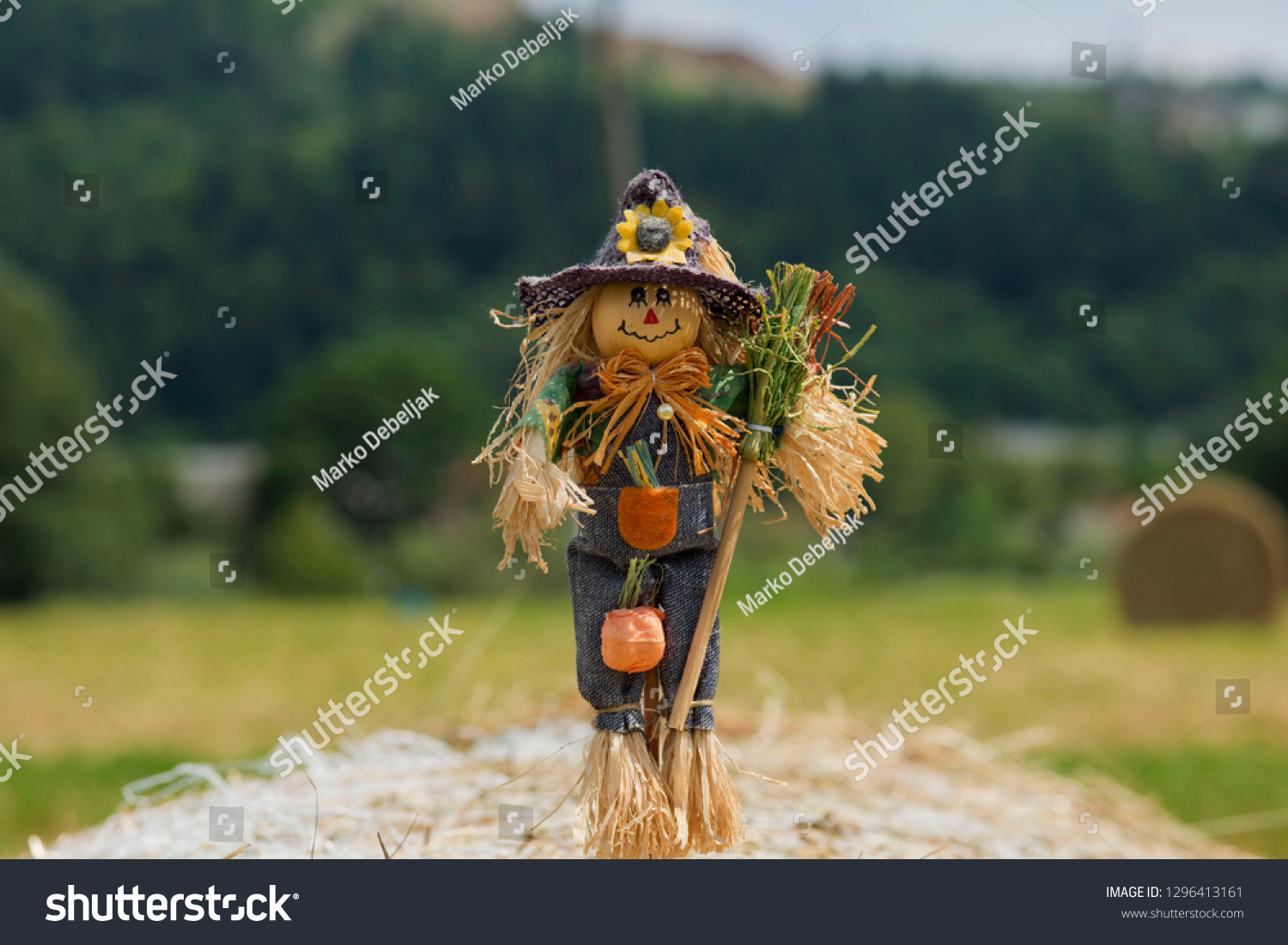 Scarecrow strawman made to guard the fields #1296413161