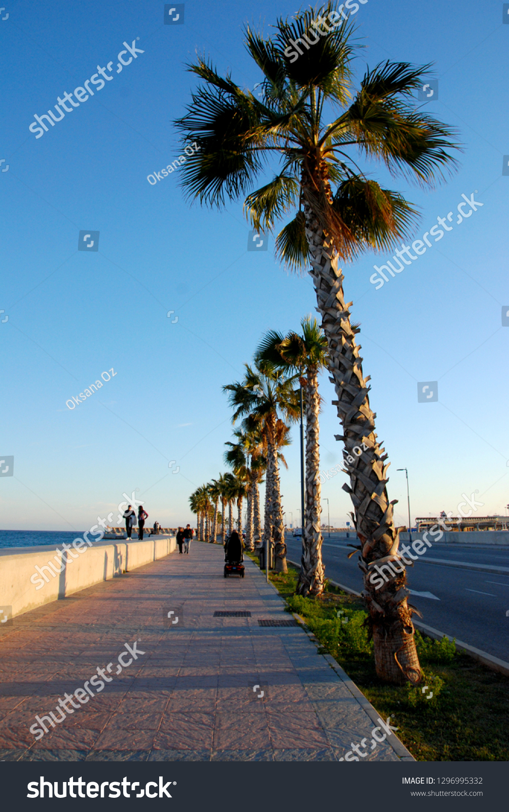 Malaga, Andalusia/Spain - January 05 2019: promenade with palm trees #1296995332