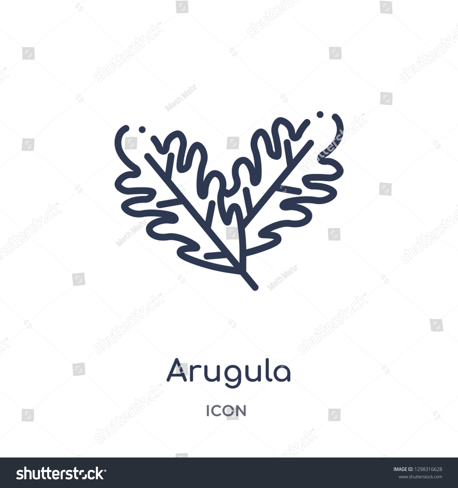 Linear arugula icon from Fruits and vegetables outline collection. Thin line arugula icon isolated on white background. arugula trendy illustration #1298316628
