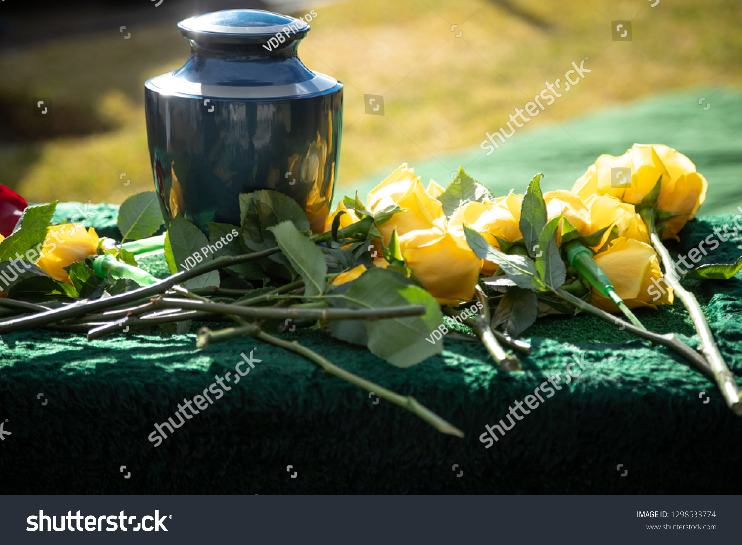 Ceramic burial urn with yellow roses, in a morning funeral scene, with space for text on the right #1298533774