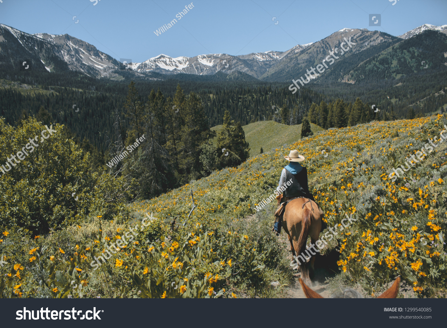 Horseback riding in the Grand Teton Mountain Range #1299540085