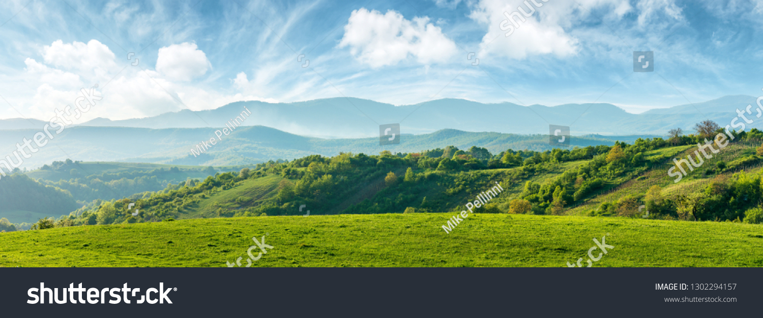 panorama of beautiful countryside of romania. sunny afternoon. wonderful springtime landscape in mountains. grassy field and rolling hills. rural scenery #1302294157