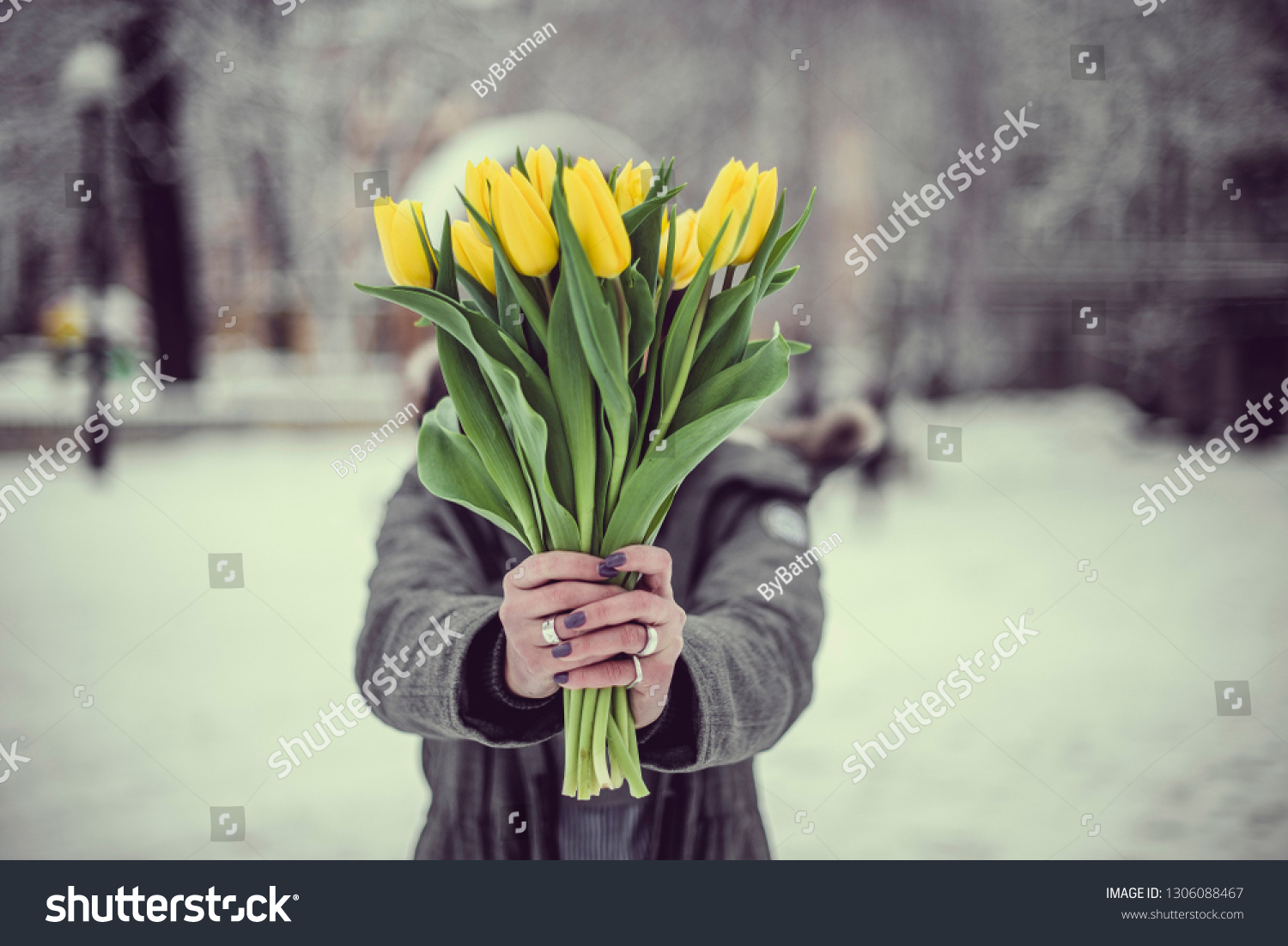 Yellow flowers tulips in the hands of a girl. Snow, winter landscape. Background to Valentine's Day and March 8th.  #1306088467