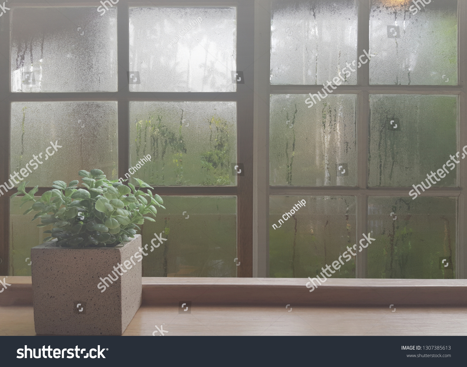 On a rainy day, see the water drops on the outside mirror blurred. (a rainy day window background)
Place the flowerpot on the wooden floor on the left.
Feelings, sadness, loneliness, nostalgia. #1307385613