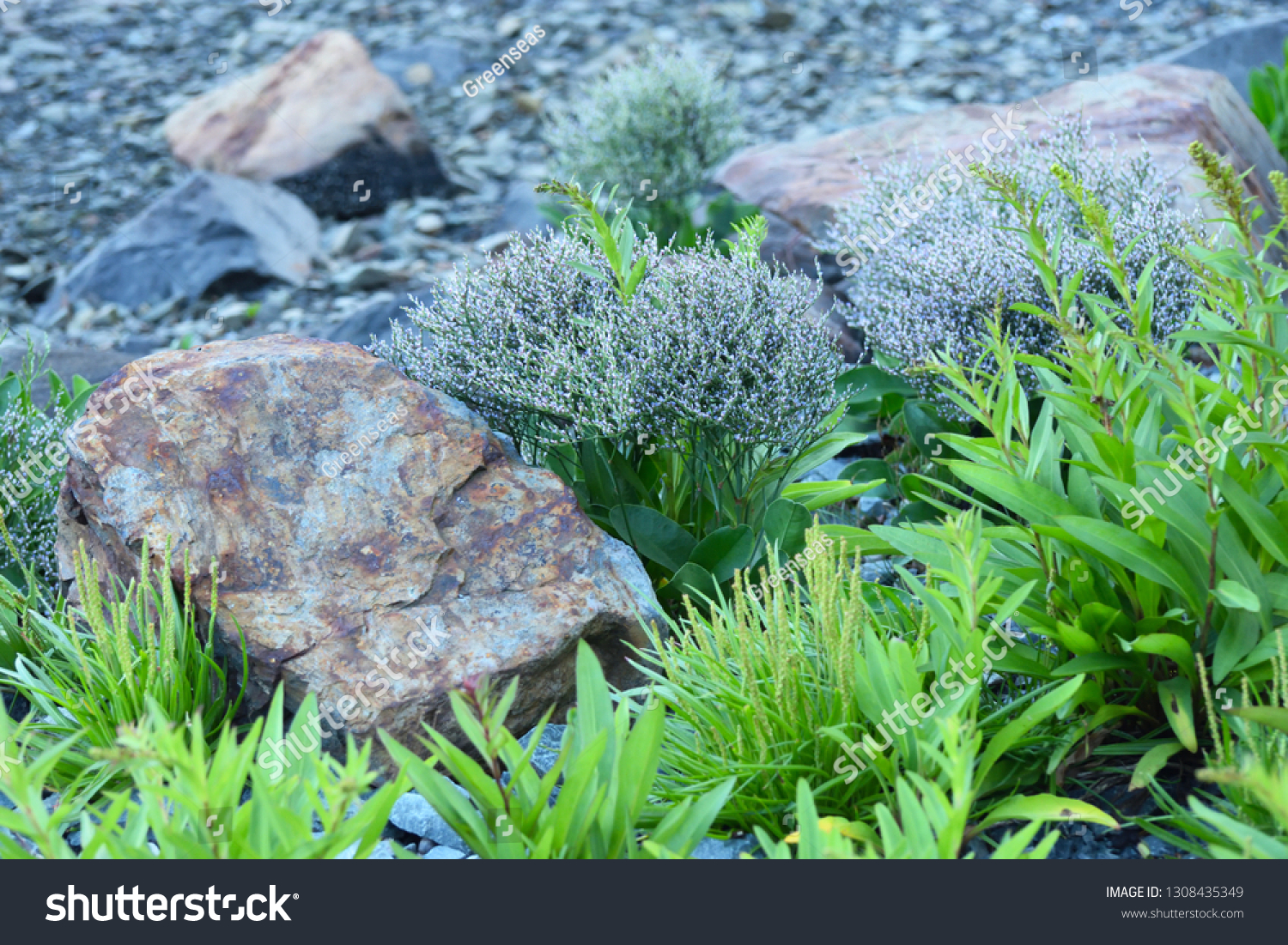 Rocks and Vegetation On the Seashore #1308435349