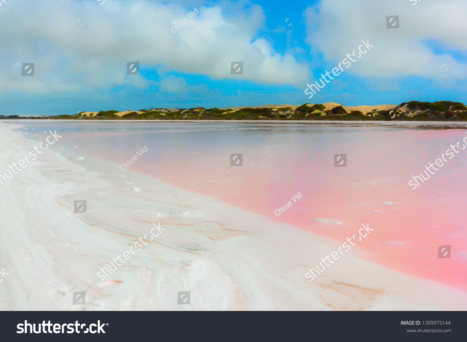 Beautiful pink lake Hillier in Western Australia, salt water and natural colorful landscape against cloudy blue sky and the reflection on soft smooth water. #1309975144