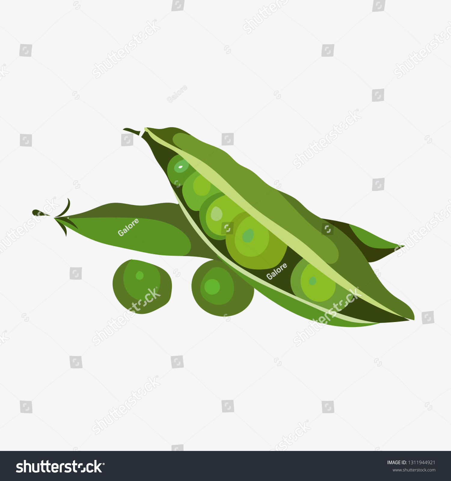 Peas vector. Green peas isolated on white background. Vector illustration of fresh food in a flat style. Icon, banner. #1311944921