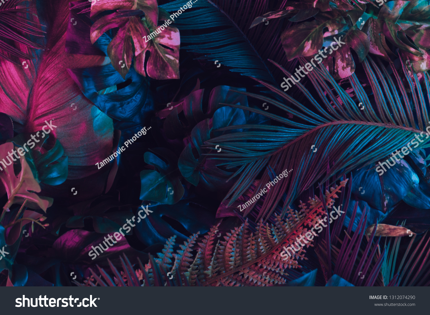 Creative fluorescent color layout made of tropical leaves. Flat lay neon colors. Nature concept. #1312074290