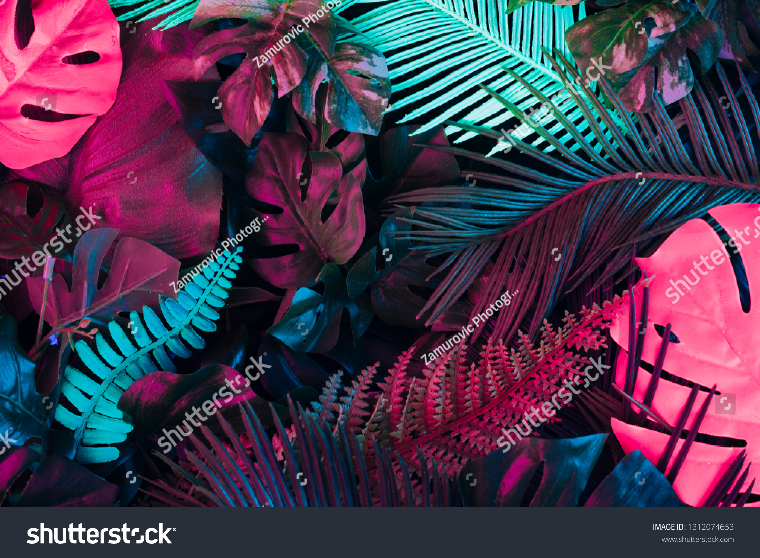 Creative fluorescent color layout made of tropical leaves. Flat lay neon colors. Nature concept. #1312074653