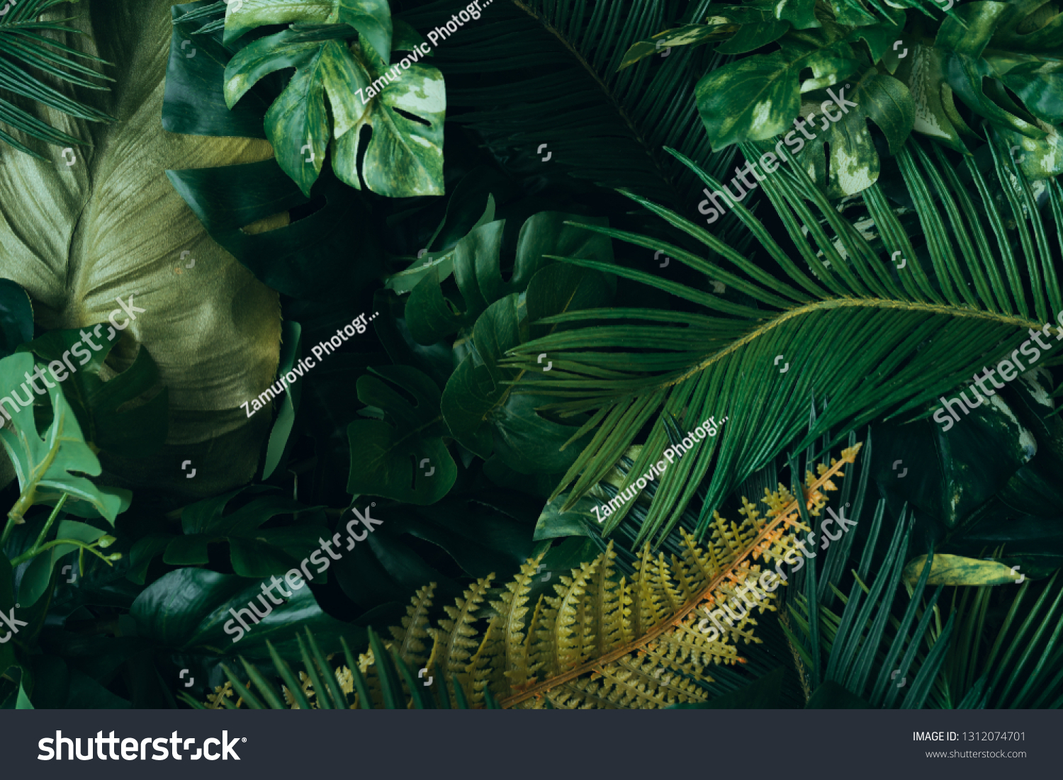 Creative layout made of tropical leaves. Flat lay. Nature concep #1312074701