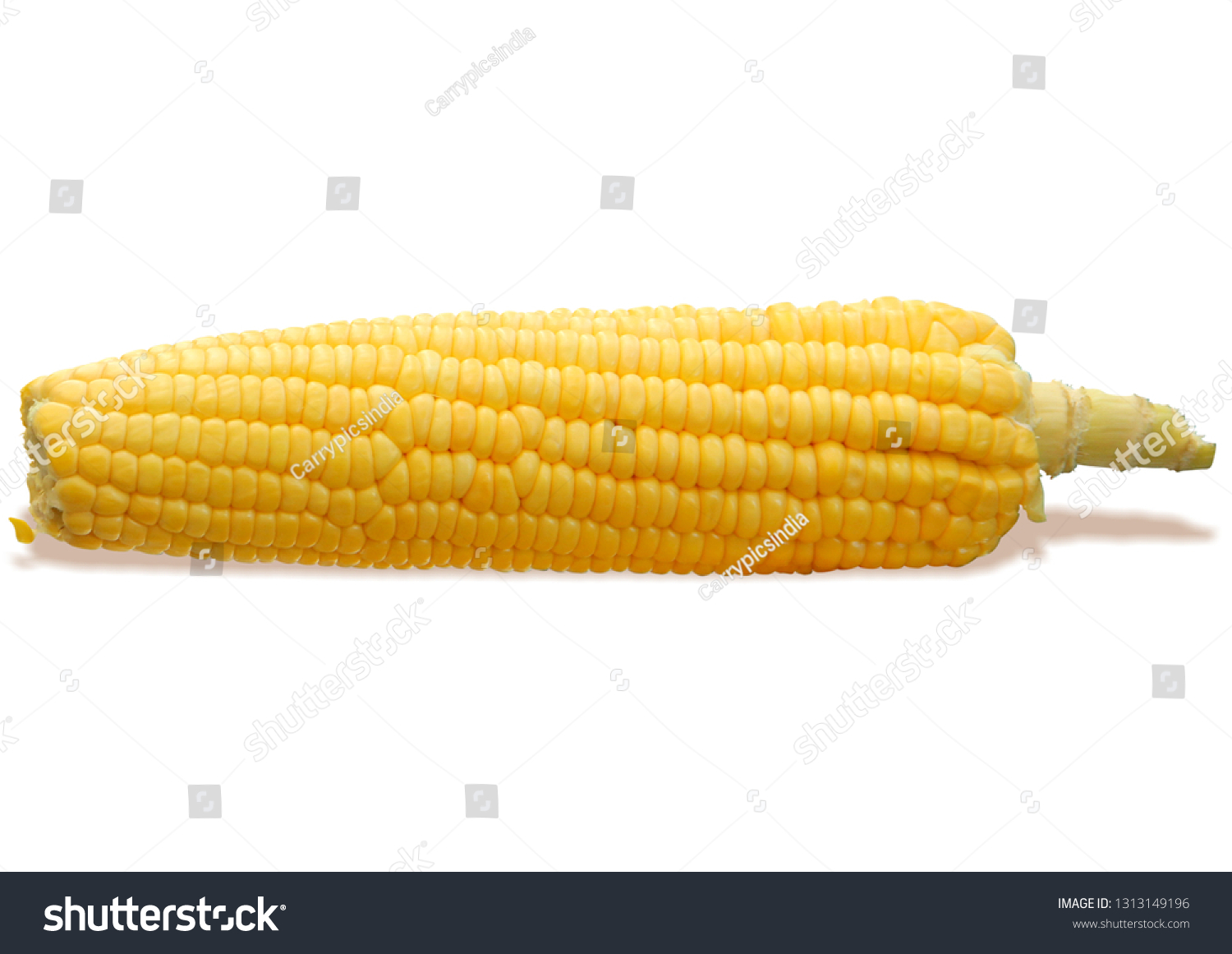 sweet corn isolated #1313149196