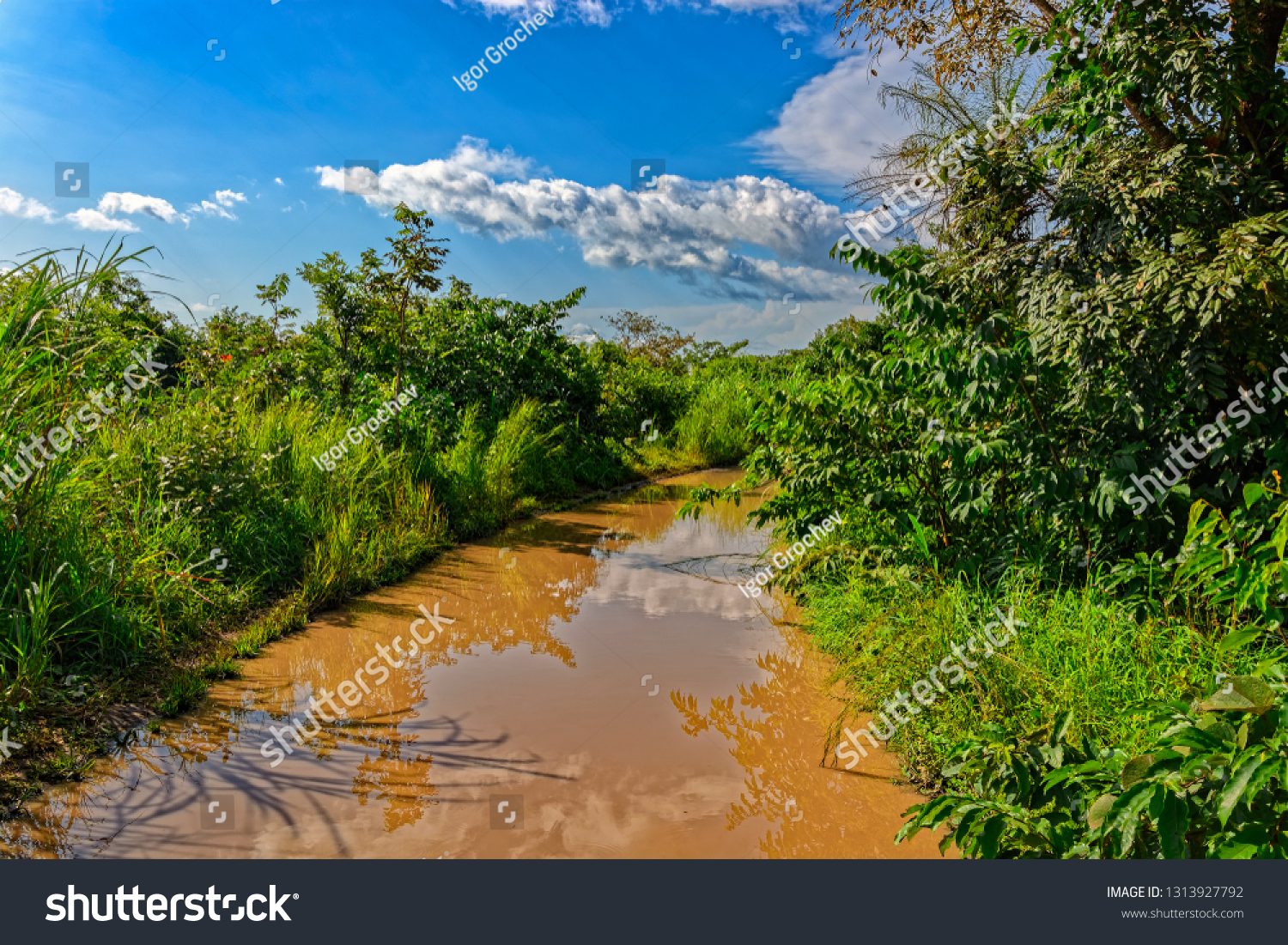 Typical unpaved rough rain-flooded road in woodland in Guinea countryside, West Africa. #1313927792