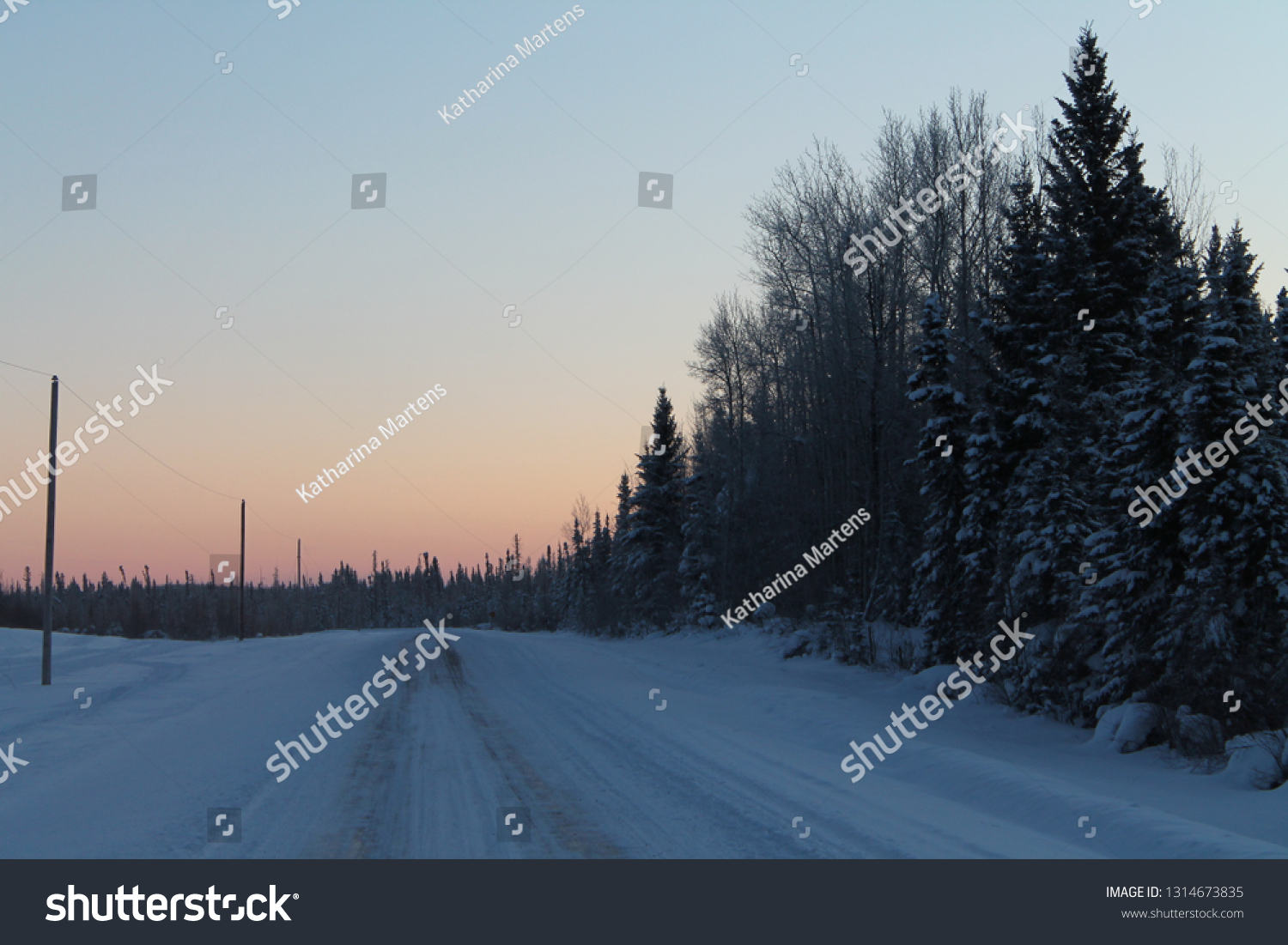 Rural winter road at dusk with the lower sky colored peach by the sunset, a dark mass of evergreen and leafless poplar trees to the right of the road and a row of electrical poles along the left side. #1314673835