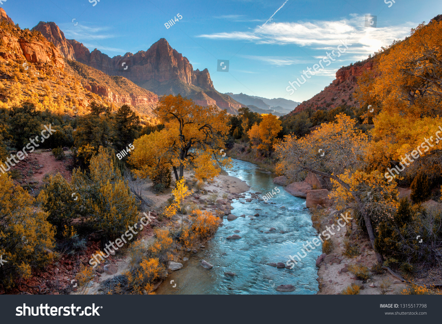 View of the Watchman mountain and the virgin river in Zion National Park located in the Southwestern United States, near Springdale, Utah, Arizona #1315517798