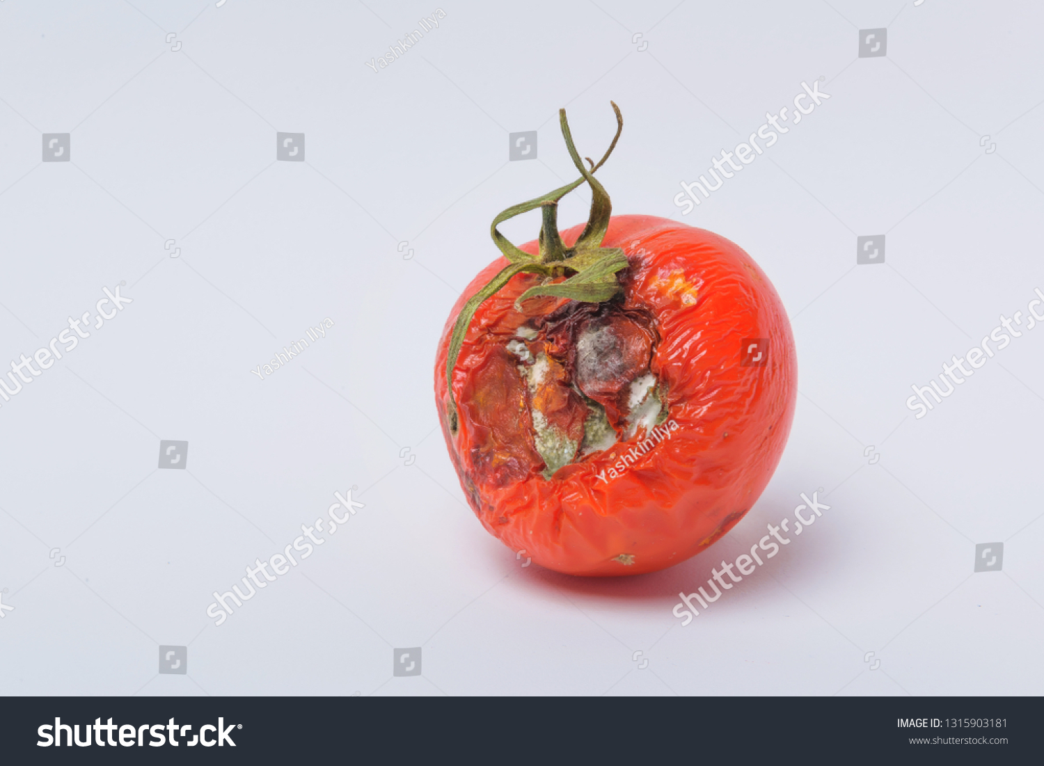 Rotten Tomato. Mold On Vegetables. Rotten - Royalty Free Stock Photo ...