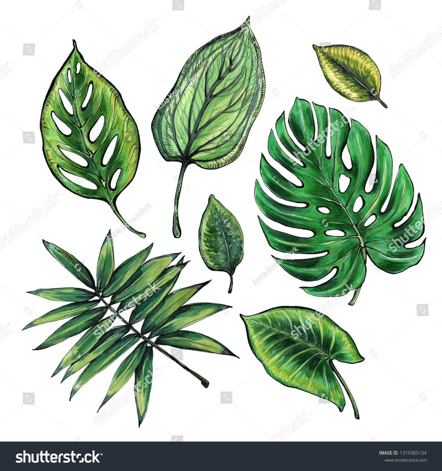 Set of tropical leaves. Watercolor and graphics handmade. #1319385134