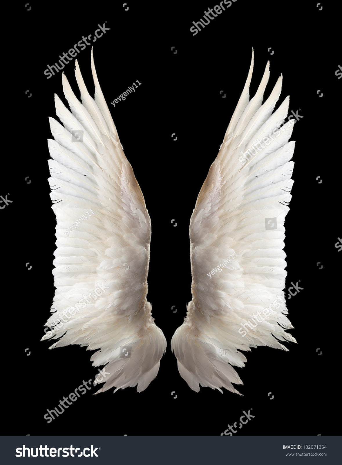 Internal white wing plumage. Isolation. #132071354