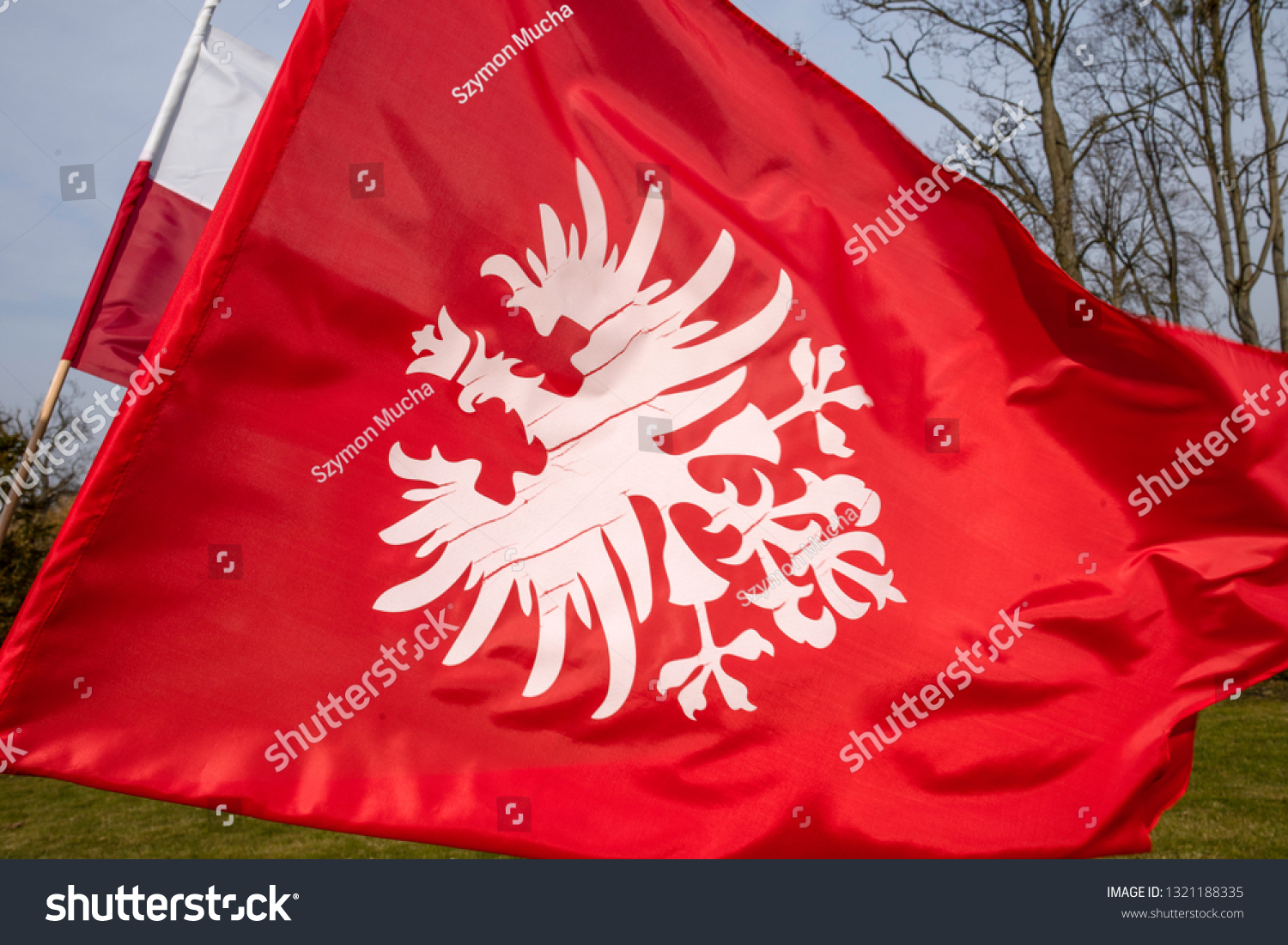 White eagle on red background - flag and emblem of the Greater Poland uprising, polish national colours. #1321188335