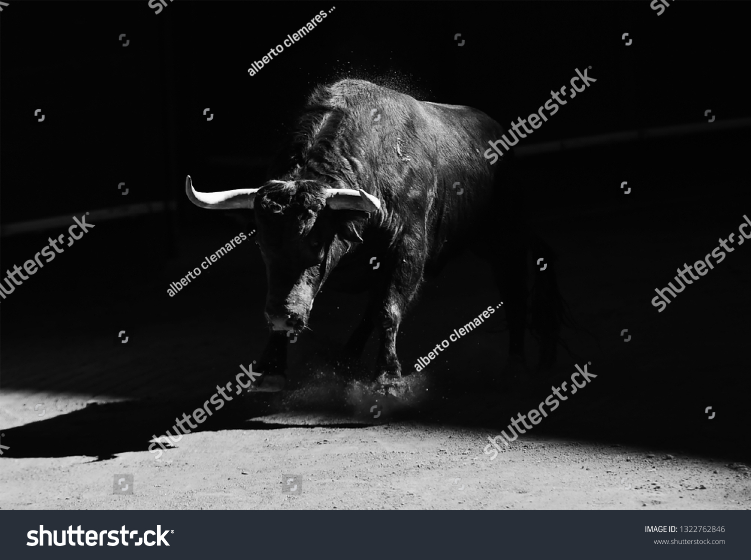 Bull in bullring on spain #1322762846