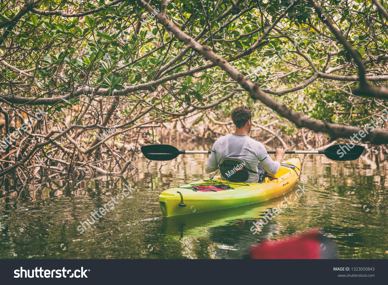 Kayak man kayaking in mangrove nature of Everglades, Florida, USA travel activity. Watersport tourism people lifestyle. #1323050843