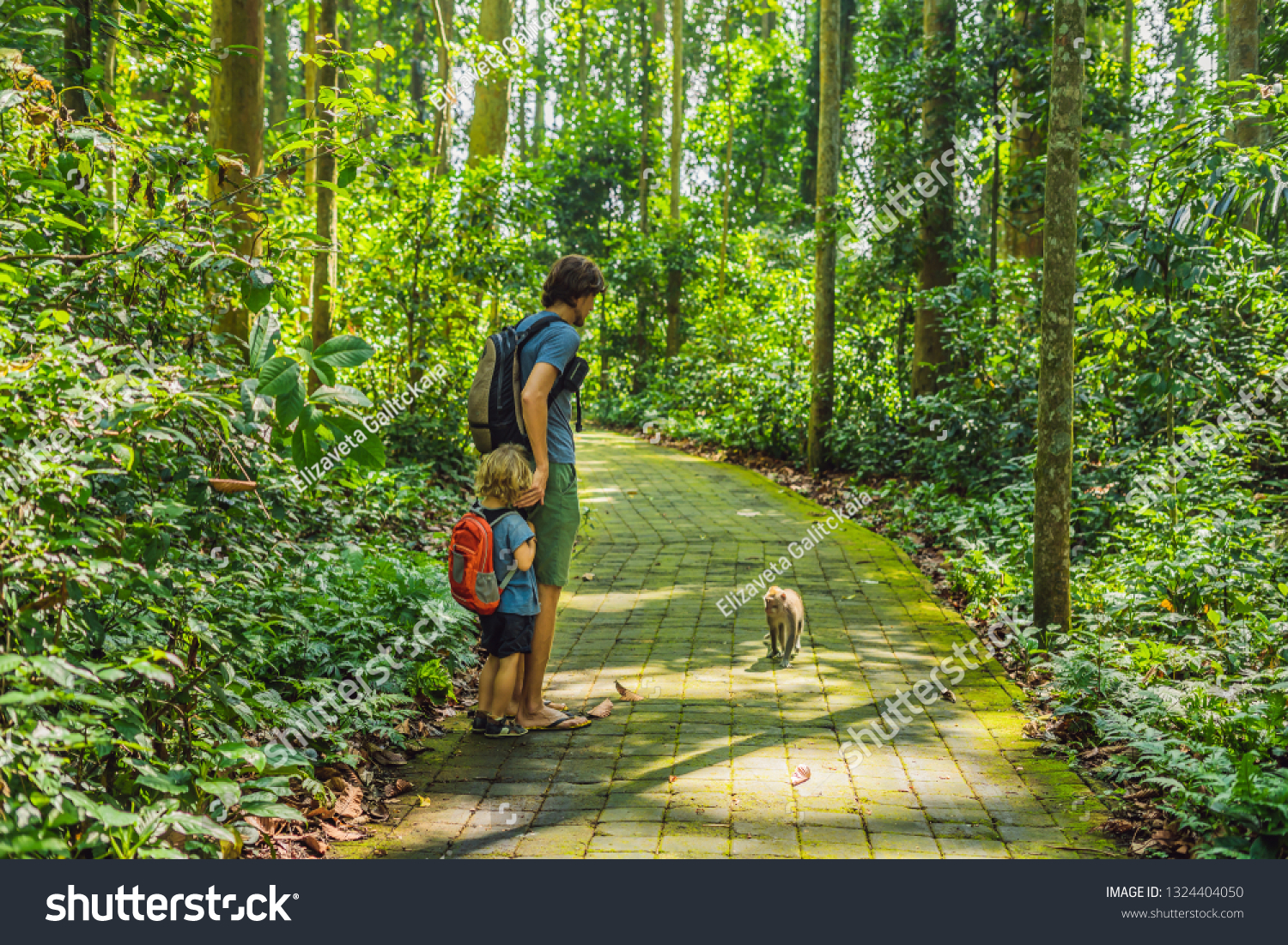 Dad and son travelers discovering Ubud forest in Monkey forest, Bali Indonesia. Traveling with children concept #1324404050