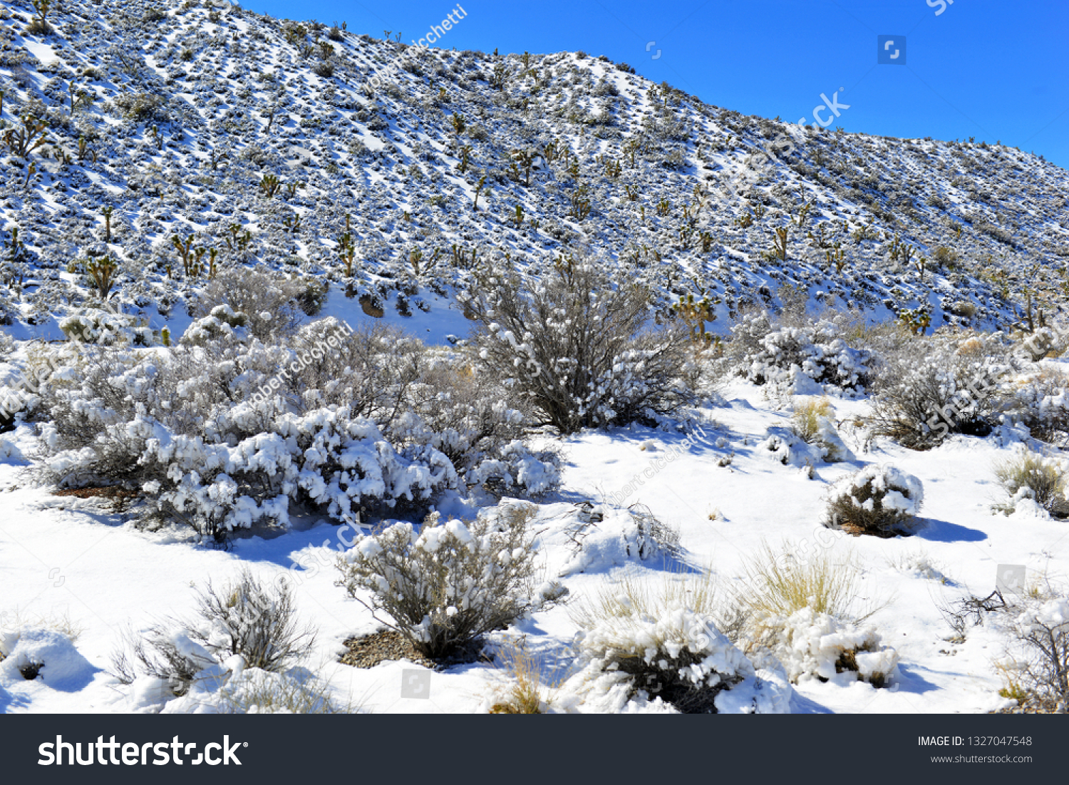 Snow covered alpine terrain in the Mount Charleston region, popular hiking and climbing spots in the Spring Mountains, near Las Vegas Nevada #1327047548