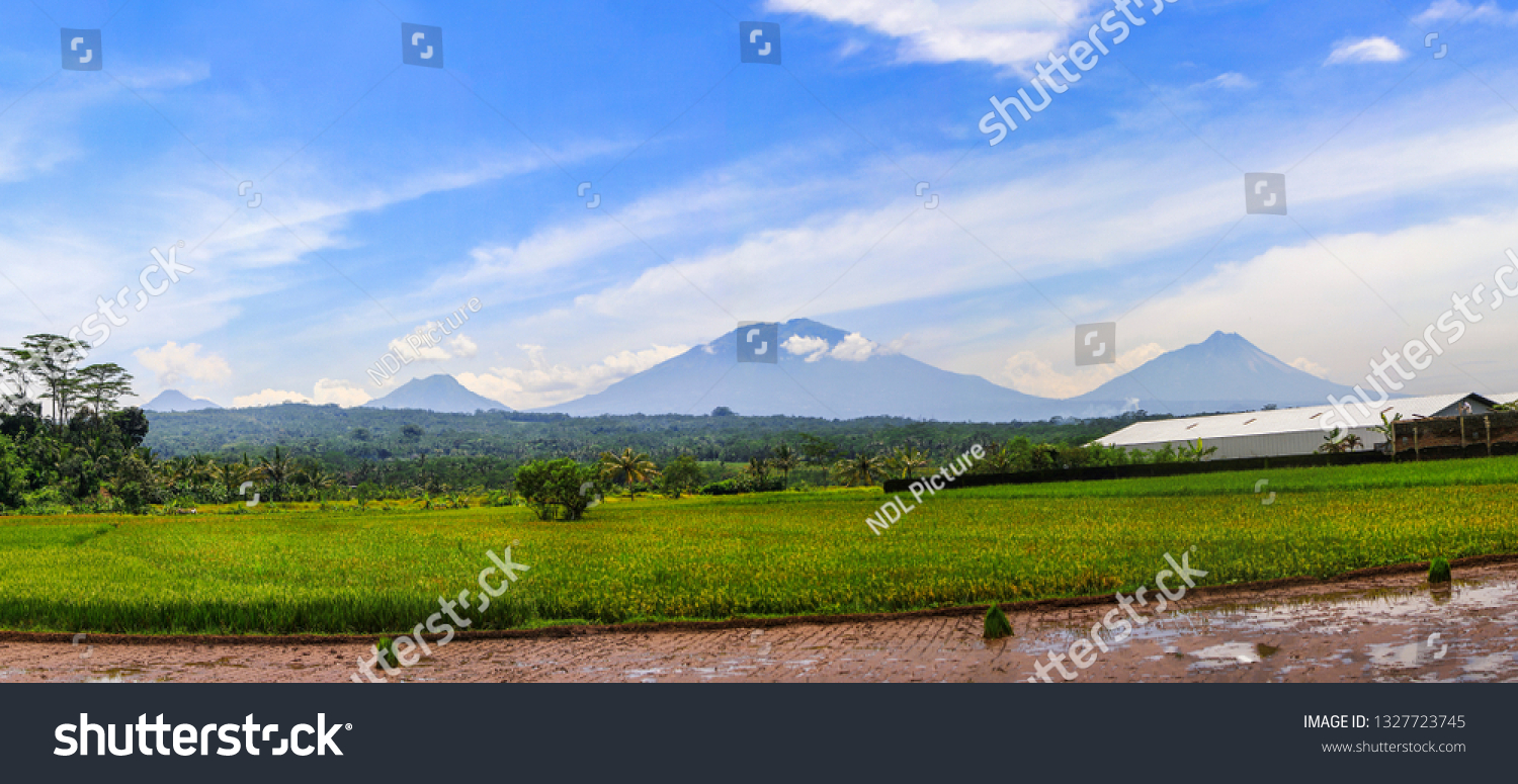 Mount Telomoyo, Mount Andong, Mount Merbabu, and Mount Merapi in a row, seen from Secang, Magelang, Central Java, Indonesia. #1327723745