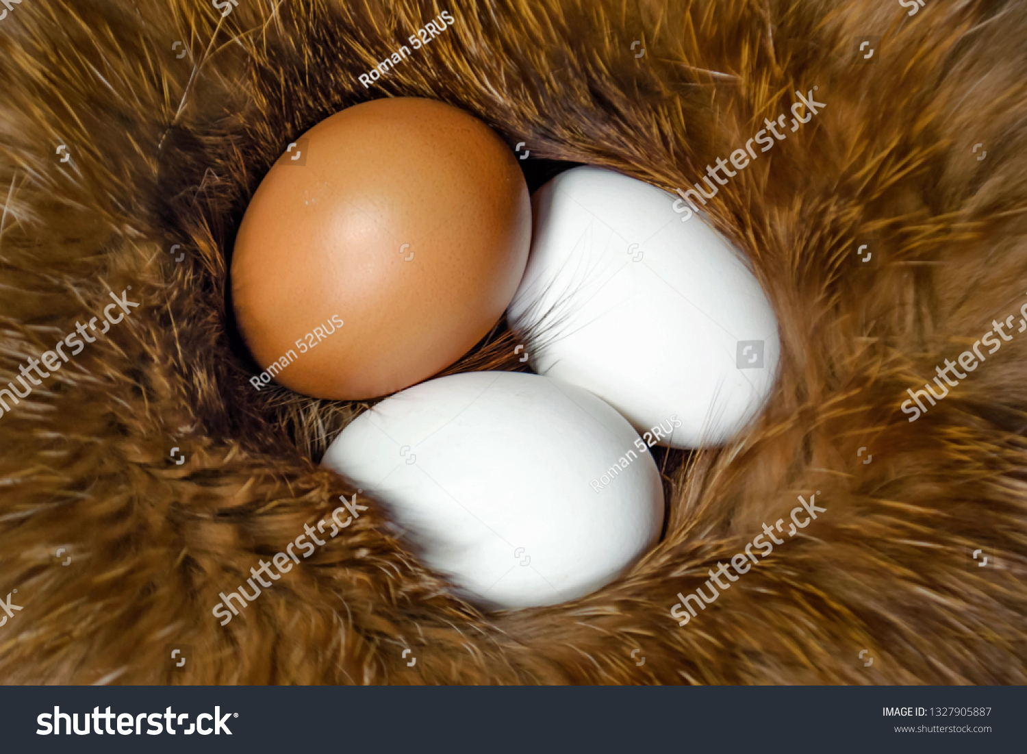 Eggs in a symbolic nest #1327905887