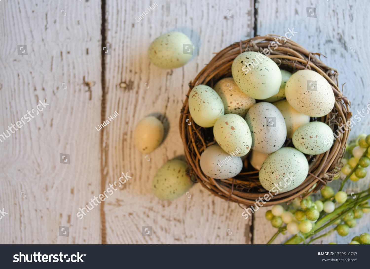 Springtime composition.  Horizontal flat lay with overhead view.  Bird nest with speckled eggs with copy space for text. #1329510767