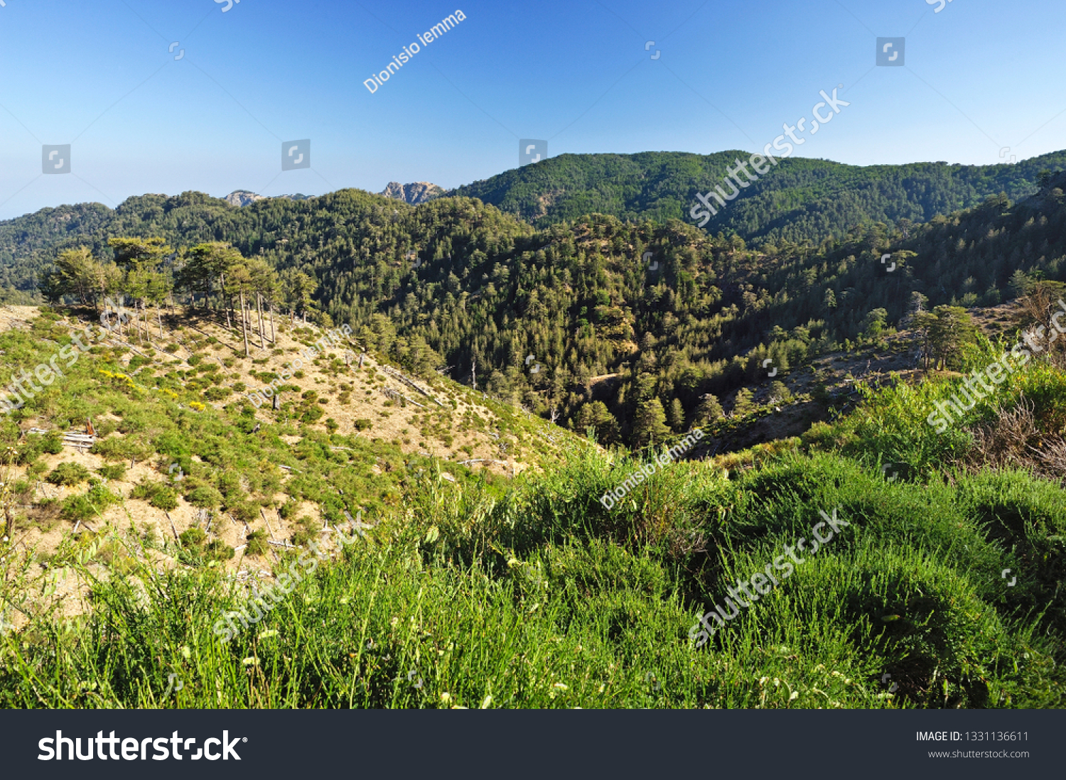 View of the Aspromonte National Park, San Luca, District of Reggio Calabria, Calabria, Italy #1331136611