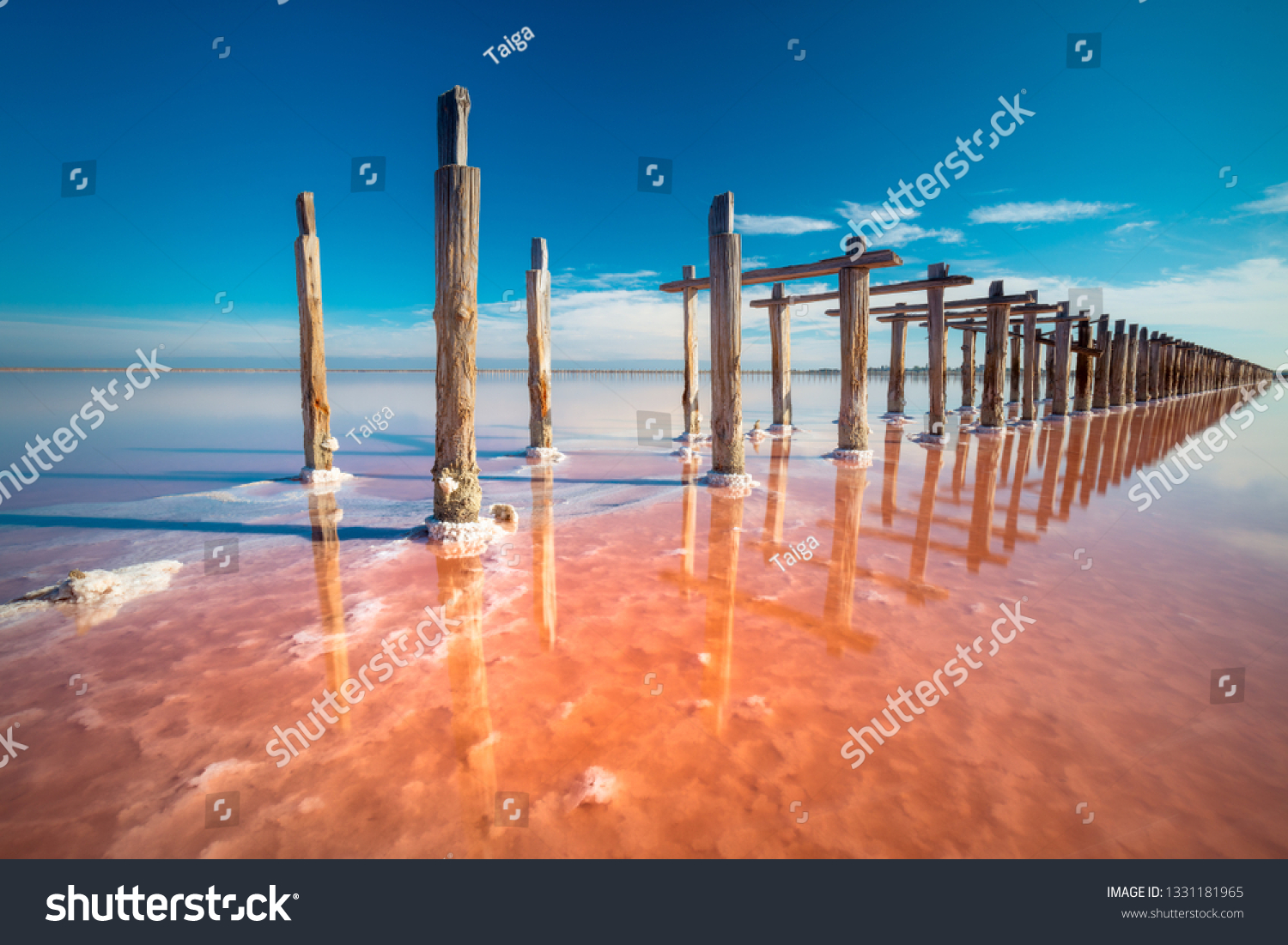 Amazing Real pink color salt lake and deep blue sky minimalistic natural landscape #1331181965